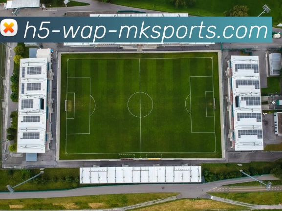 App Interface Preview